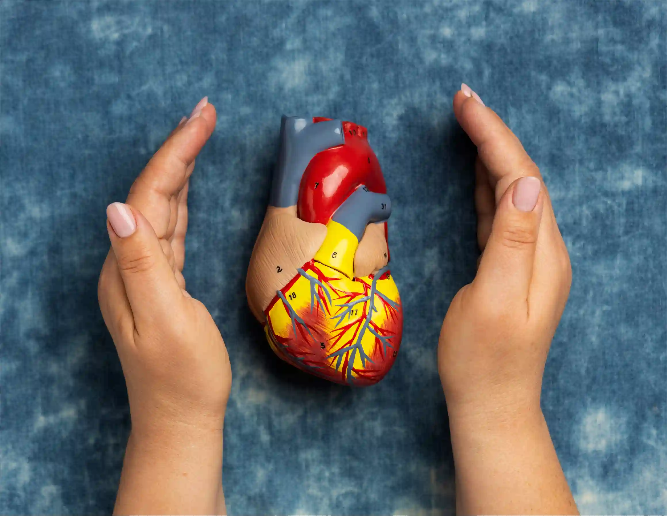 Precise Diagnosis That Shapes Better Heart Outcomes